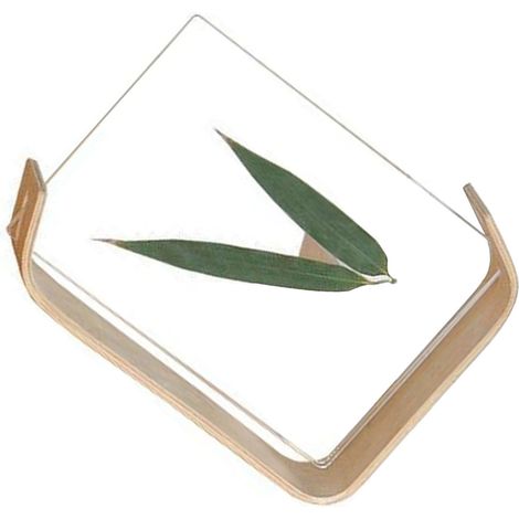 Cadre photo bureau moderne simple bois acrylique pour specimen plante decoration maison (1/5)