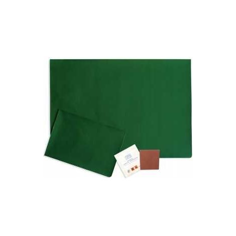 Kit de reparación de lona 45x32cm VERDE (1/5)