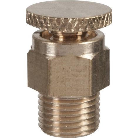 Riquier – Purgeur radiateur 8x13 – Filetage plomberie – Bouchon purge et vidange – Pour installations chauffage