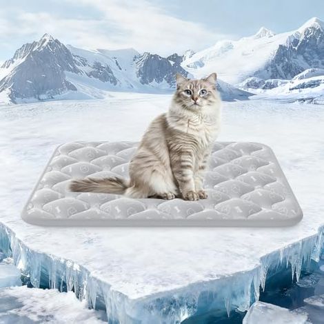 Tapis Rafraichissant Chat,60X45cm Tapis Rafraichissant Chien Thermochromique,Coussin Rafraichissant pour Chien Imperméable et Non Toxique, Antidérapant et Lavable(Gris) (1/4)