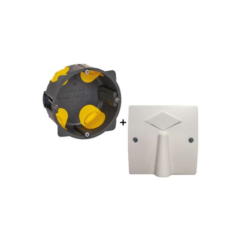 SIB - Sortie de cu00e2ble 20/32A - u00e0 vis dim. 100x100 + Bou00eete legrand Batibox BBC - P11032+080086L (1/5)