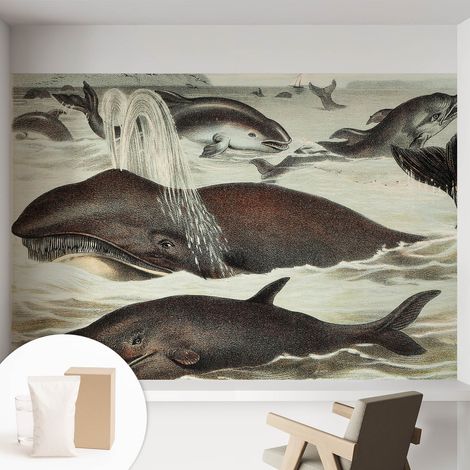Fototapete Vliestapete mit Kleber - modern Wohnzimmer - Wanddekoration - einfach anzubringen Meeresbewohner 152x104 cm (1/5)