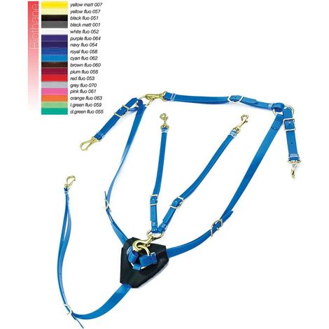 Taglia unica, Chiaro Verde: Pectoral et martingale en biothane avec boucles plaquées laiton