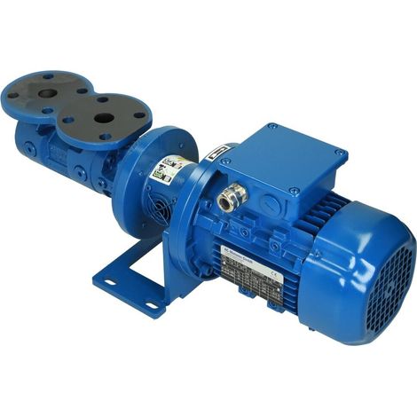 N7,5/4, pompe à broche hélicoïdale OEG DN 25, 312 l/h pour4 bar, 1450 tours/min