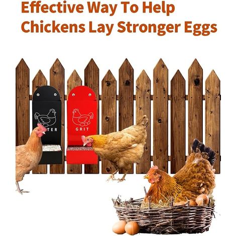 Metal Food Spreader for Chickens and Oyster Shells Automatic Feed Spreader for Chickens Ducks and Poultry Portable Accessories for Chickens (1/4)
