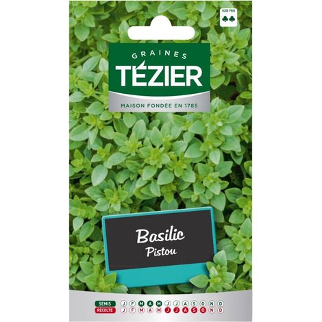 Tezier - Basilic Pistou
