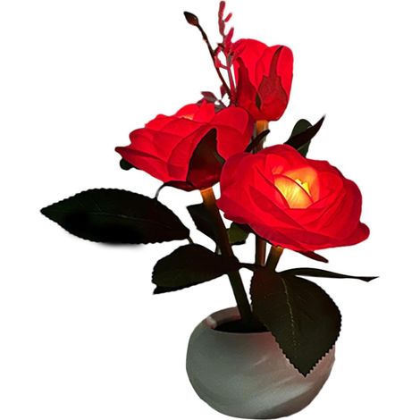 Lampe à fleurs, lumière Table LED à éclairage doux et (1/5)