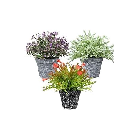 KING HOME PIANTINE ARTIFICIALI SET 3 PZ IN SCATOLA TRASPARENTE DI ACETATO
