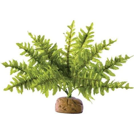Plante artificielle exo-terra boston fern facile à nettoyer réaliste (1/2)
