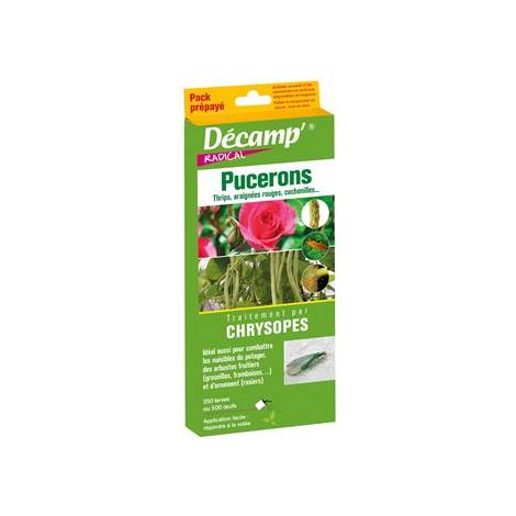 PACK PREPAYE CHRYSOPES - INSECTES AUXILIAIRES - ENTRETIEN