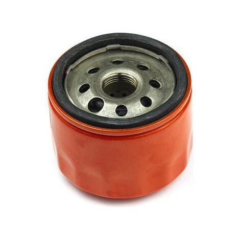 Filtro olio BRIGGS & STRATTON 798576