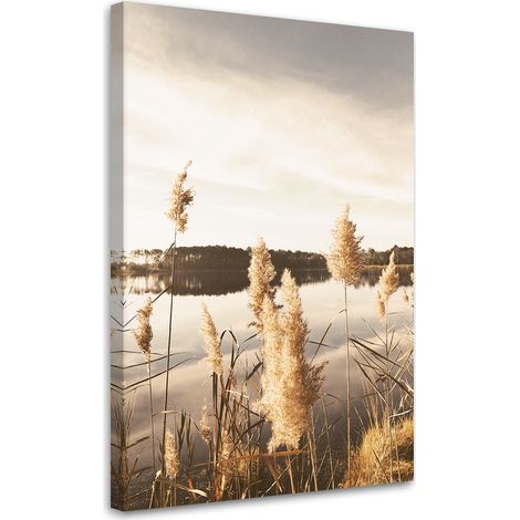 Tableau sur toile Herbe de la pampa au bord du lac 70x100 (1/5)