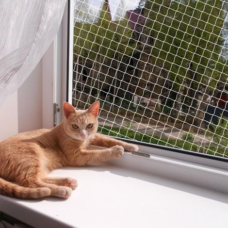 Tigrezy – Filet de protection pour chat 3 x 6 m – Fibre de polyester résistant aux morsures – Sécurise balcon. fenêtres et portes – Montage facile (1/5)