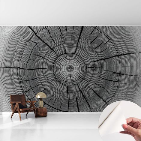 Tapete Selbstklebend - abwaschbar - Tapete mit Motiv - trendige Wanddeko - elegant Fototapete Waldharmonie 416x254 cm (1/5)