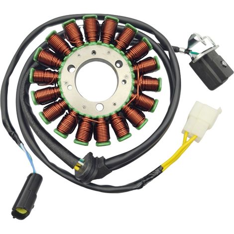 Accessoires pour bobine de stator de magnéto compatibles avec les motos Zontes 310, ZT310-R/T/V/X et ZT250-S/R