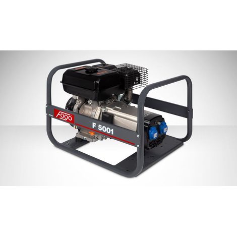 FOGO F 5001 Benzin-Stromerzeuger 4,2 kW 230 V (1/5)