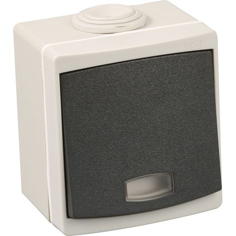 Va/Vient lumineux IP55 gris EUR'OHM 60701 (1/2)