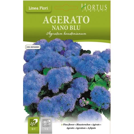 Agerato Nano Blu DB