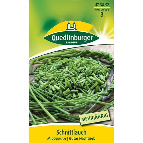 Quedlinburger Saatgut – Ciboulette « Middleman » – Graines d'herbes aromatiques, vivace, croissance rapide, hauteur env. 20-30 cm (1/2)