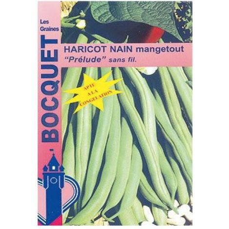 Haricot mangetout 'Prélude' le sachet de 250 graines (100g)