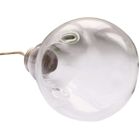 Pots suspendus en verre borosilicate Kichvoe forme d'ampoule avec corde pour plantes aériennes (1/5)