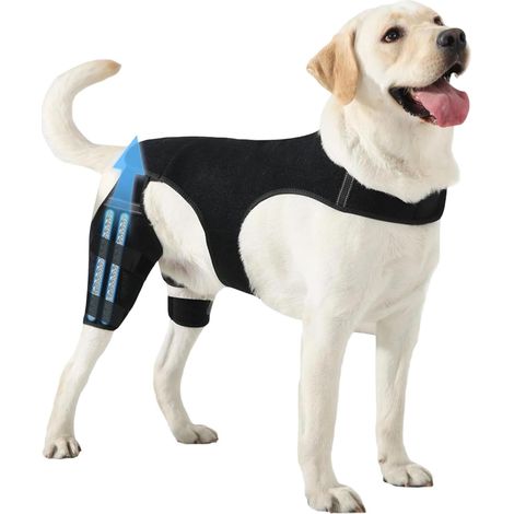 Genouillères pour Chien Patte Arrière Manchon Articulaire (1/5)