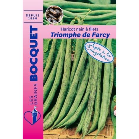 Haricot nain à filet Triomphe de Farcy - 120g