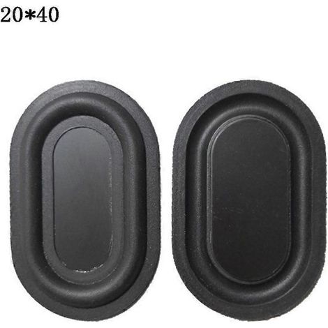 Plaque Vibrante DIY pour Enceinte Acoustique - Membrane 20 x 40 cm - Son Puissant (1/4)