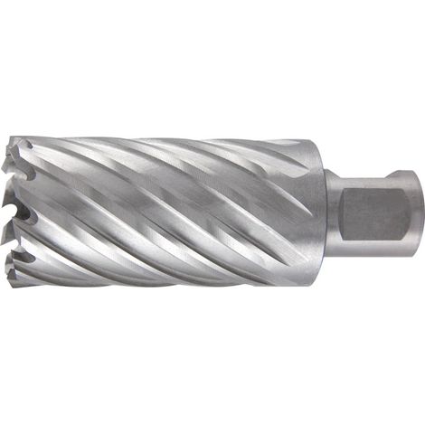RUKO trépan Weldon HSS 88 x 55 x Ø 52 mm 108552 (1/3)
