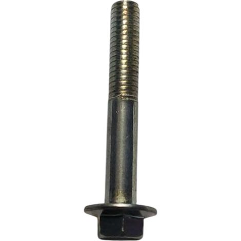 Tornillo compatible con Z550  Ref 974601