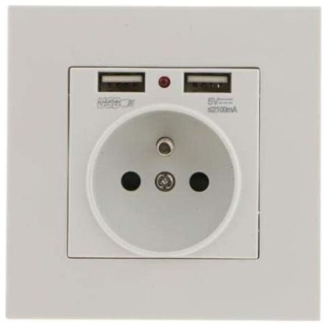 Lot de 2 Prises Murales, Prise Electrique Murale avec Double USB 5V/2100mA, Prise Encastrable avec 2 Ports de USB Pratique et Manialble TREETALK (1/4)