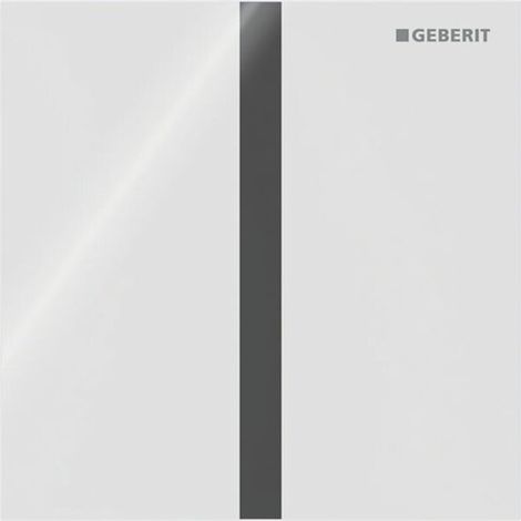 GEBERIT 246121SI1 Type 40 plaque de recouvrement pour commande urinaire IR (1/4)