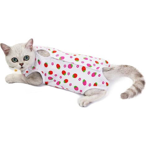 Chemise Et Pantalon Pour Chien Chat - Vêtement De Récupération Post-Chirurgie En Coton Respirant - Tenue Décontractée Mignonne - Taille S À Xl (1/5)