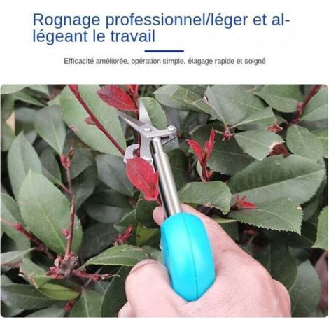 Sécateur - Acier Inoxydable - Pointe Fine - Poignée TPR Antidérapante - 1 Pièce (1/4)