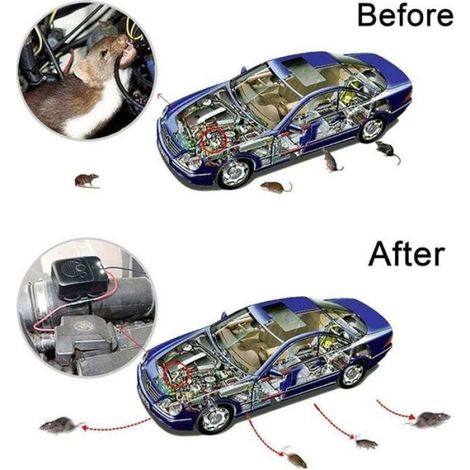 Répulsif Ultrason - Pour Voiture Garage Grenier - 40 M² - Alimentation DC 5-12 V - Avec Flash LED Stroboscopique - 1 Pièce (1/5)