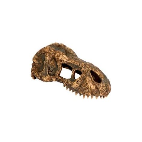 Exo Terra Dino T-Rex Mini