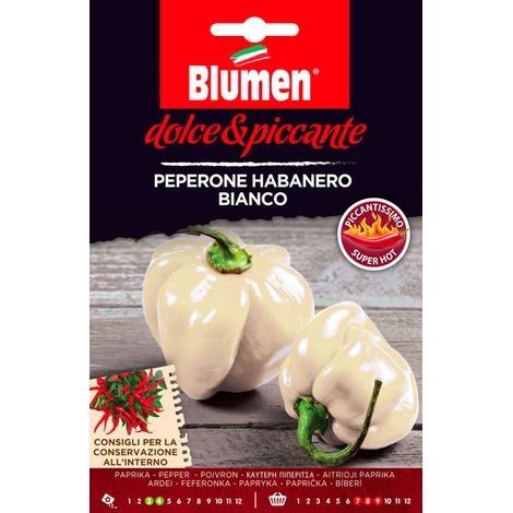 SEMI PEPERONE HABANERO BIANCO