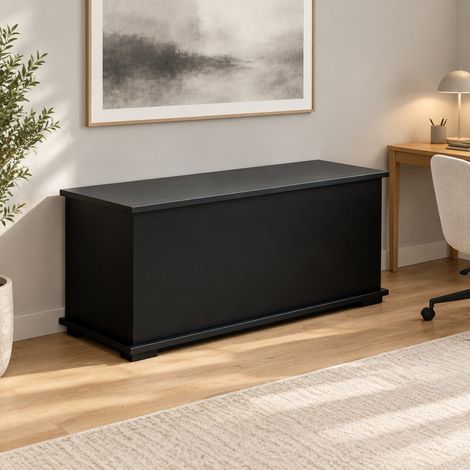 Banco arcón de almacenamiento multifuncional con tapa abatible, 100 x 40 x 40 cm, negro HAVRYA (1/5)