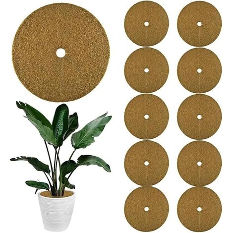 10 x Coconut Mulching Discs, Diameter 20 cm, Coconut Pot Cover, Winter Protection for Potted Plants, Coconut Fiber, Winter Protection, 20 cm (1/5)