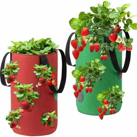 Sac Plante Non Tissé, Sac Plante Fraise Respirant, Sac Plantation Suspendu, Sac Culture Fraises, Sac Semis Fraises Jardinage, Sac Fraise avec Poignées, Sac Fraise Jardin (1/5)
