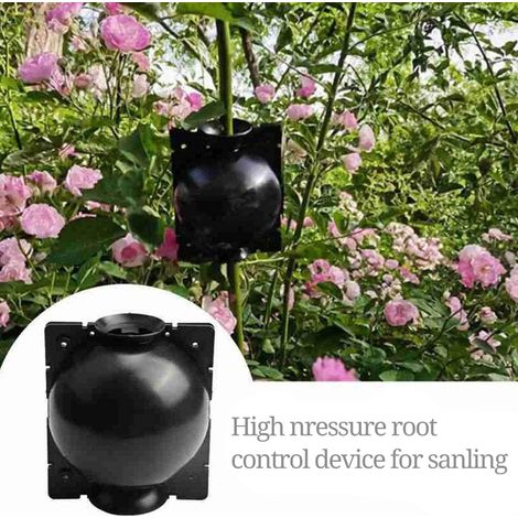 Lot de 3 sphères de greffage pour plantes de jardin, boîtes de culture et de multiplication (1/5)