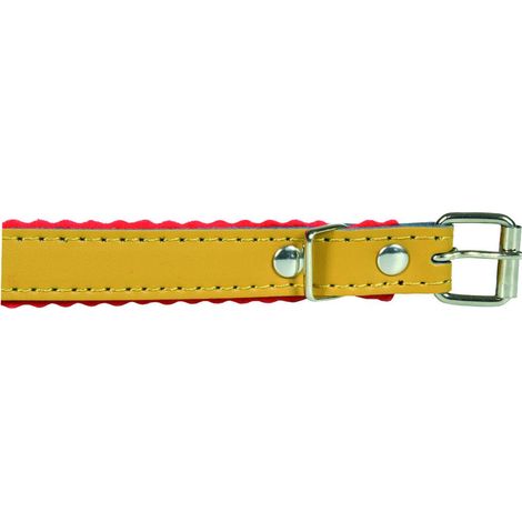 Collare per cani cuoio padding - cm.37x1,6 - 5 pz