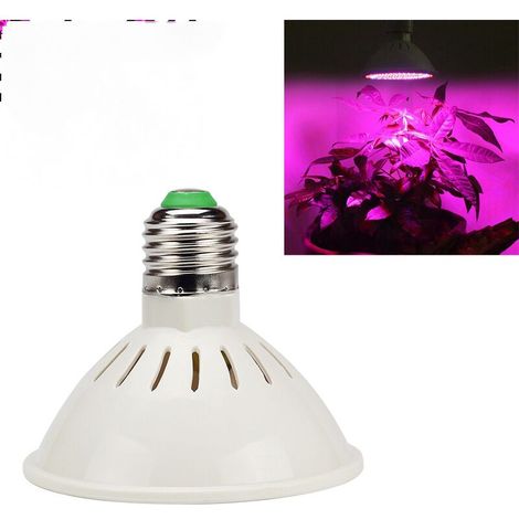 Ampoule LED Horticole E27 à Spectre Complet-Lampe de Croissance et Floraison pour Culture de Plante intérieure-15W (1/5)