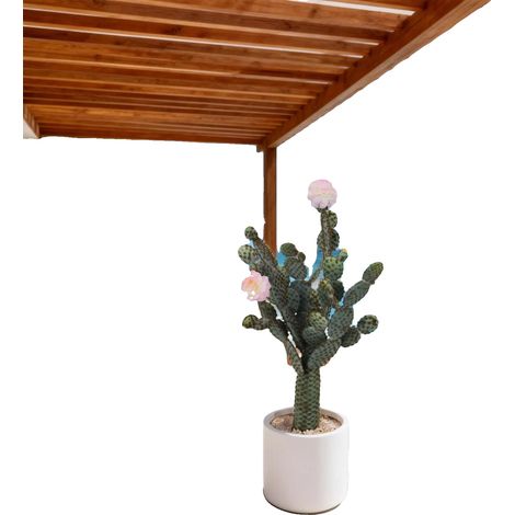 Cactus artificiale, design realistico, facile manutenzione, come mostrato in foto. (1/2)