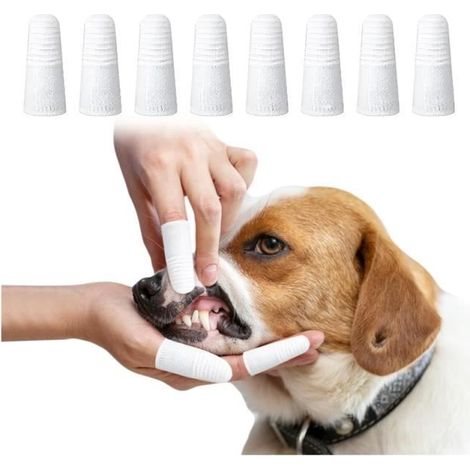 Brosse A Dent Chien Chat à Pour Dents Animaux Compagnie Animal Doigt Dog Toothbrush Finger Brosses Mini Nettoyage Des Outil (1/4)
