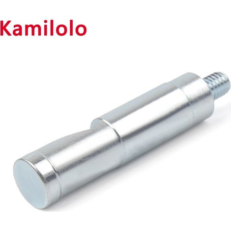 Einstellstift für Kraftstoffdruckregler bei Land Rover Discovery und Range Rover 200/300Tdi (1/4)