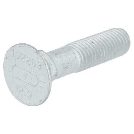 Schraube M12x55 VÄDERSTAD 152263DW (1/3)