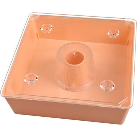 Abreuvoir/nourrisseur à abeilles carré de style européen avec grande capacité pour le miel - AquaForge