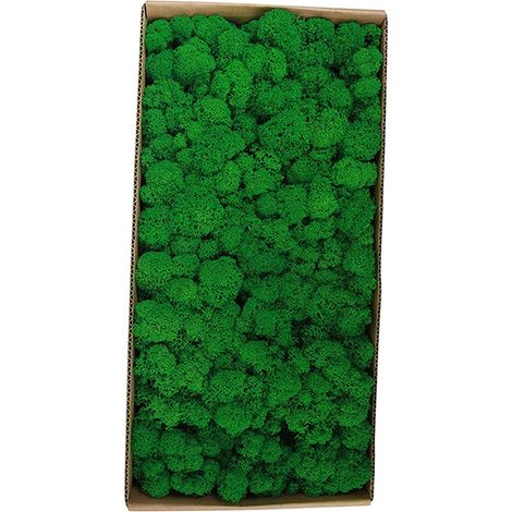 Décoration murale en mousse préservée. Véritable mousse préservée, sans entretien. Mousse naturellement préservée pour la maison, les fêtes et les festivals. (1/5)