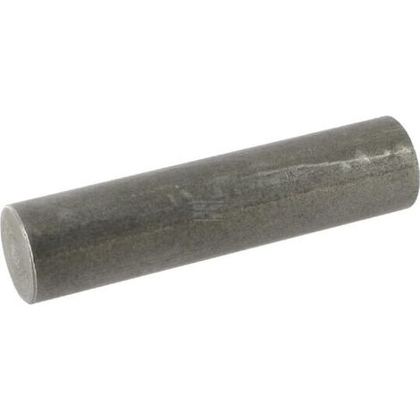 Pivot BPW 1030650004